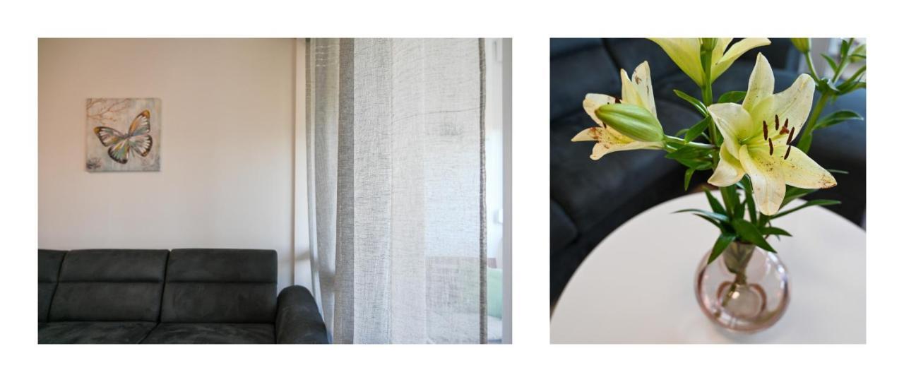 Apartman Armando Zadar Dış mekan fotoğraf